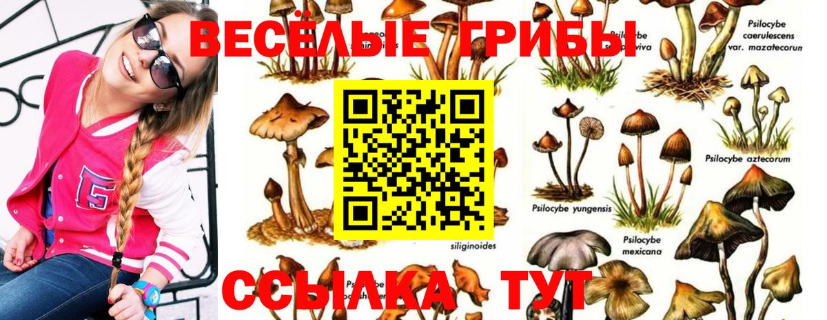Псилоцибиновые грибы ЛСД Новотроицк