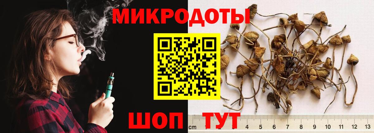 Галлюциногенные грибы мухоморы  Новотроицк  Галлюциногенные грибы GOLDEN TEACHER 