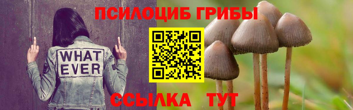 Псилоцибиновые грибы Magic Shrooms  Галлюциногенные грибы Psilocybine cubensis  Вход с VPN  Новотроицк 