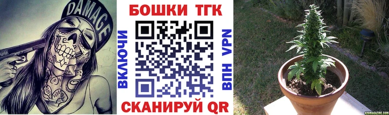 Каннабис THC 21%  сайты даркнета клад  Новотроицк 